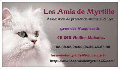 amis-de-m-carte